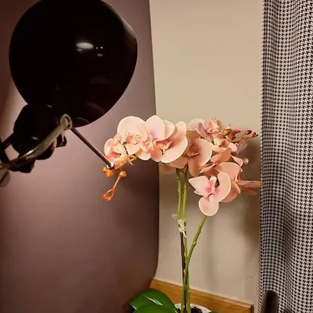 Aesthetic Escape Vintage Studio. Appartamento